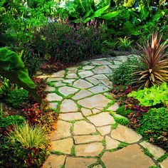 a stone path surrounded by plants and flowers