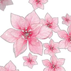 some pink flowers are on a white background