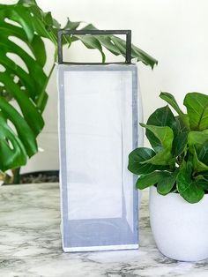 a plant in a white vase next to an empty glass container on a marble table