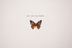 an orange butterfly with the words you are my muse on it's back side