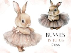 two bunnies in tutus are wearing dresses