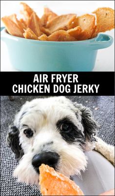 a dog eating food from a bowl with the caption air fryer chicken dog jerry