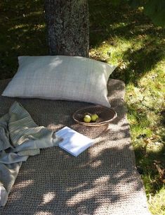 a basket with two green apples sitting on top of a blanket next to a tree