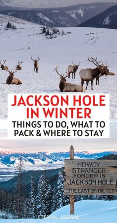 the cover of jackson hole in winter things to do, what to pack and where to stay