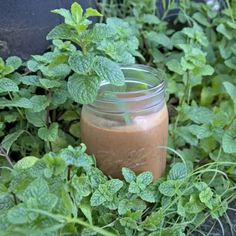 a glass jar filled with brown liquid sitting on top of green plants and dirt ground