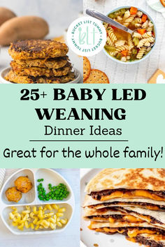 These easy baby led weaning dinner ideas are great for the whole family. Not only are these easy baby recipes ready quickly, they are also nutritious and beneficial for babies. #babyledweaningdinners #babydinnerideas Baby Led Weaning Dinner Ideas, Baby Led Weaning Food Ideas, Baby Led Weaning Food, Healthy Baby Snacks, Baby Weaning Foods, Baby Meal Plan, Baby Led Weaning Breakfast, Baby Led Weaning First Foods, Family Meal Prep