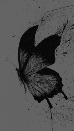 a black and white photo of a butterfly