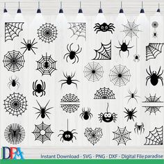 halloween spider webs svt files