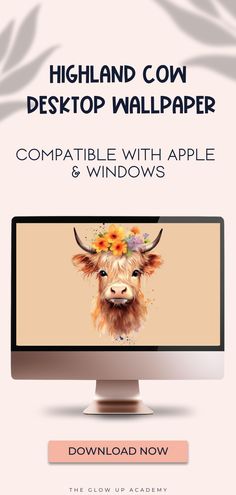 a computer screen with the text, highland cow desktop wallpaper compatible with apple and windows