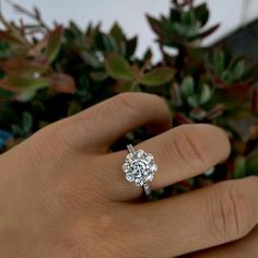 a person's hand with a diamond ring on top of their finger and plants in the background