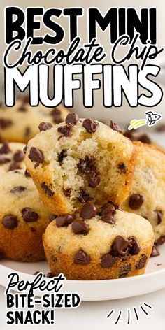 chocolate chip muffins on a plate with the title best mini chocolate chip muffins