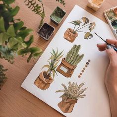 someone is painting plants in pots on paper