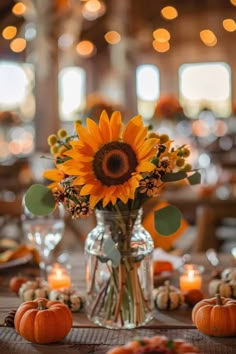 a vase filled with sunflowers sitting on top of a table covered in pumpkins