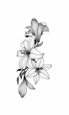 black and white drawing of flowers on a white background