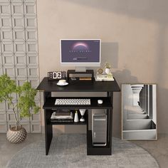 a computer desk with a monitor, keyboard and mouse on it next to a potted plant