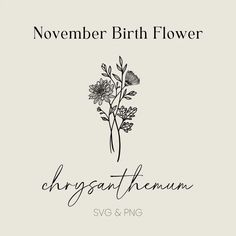 the logo for november birth flower, chrysanthemum