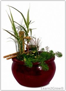 a potted plant with grass and plants in it