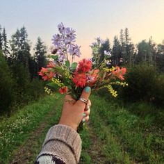 a person holding a bouquet of flowers in their hand on the side of a dirt road