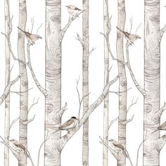 a drawing of birds sitting on the branches of some birch trees in front of a white background