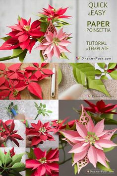 paper poinsettia flowers are shown in multiple pictures