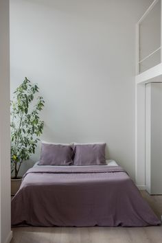 a bed with purple sheets and pillows in a white room next to a potted plant