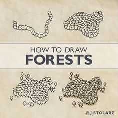 how to draw forest animals in 3 easy steps