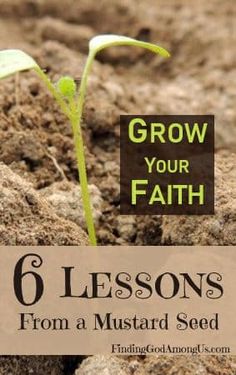 a seedling plant with the title grow your faith 6 lessons from a mustard seed