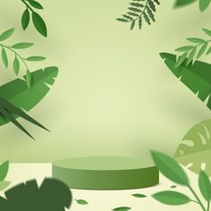 a green background with leaves and a round base