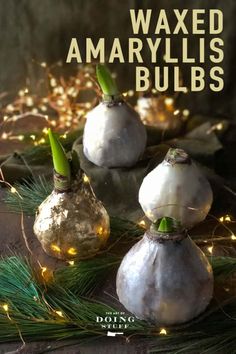 three silver vases with green stems in them on a wooden table next to christmas lights