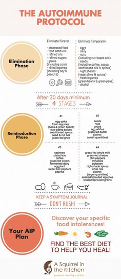 | Reintroducing Foods on the Paleo Autoimmune Protocol (AIP) | http://asquirrelinthekitchen.com Carnivorous Diet, Aip Keto, 1200 Calorie Diet Meal Plans, Autoimmune Protocol Recipes, Selamat Hari Valentine, Paleo Autoimmune Protocol