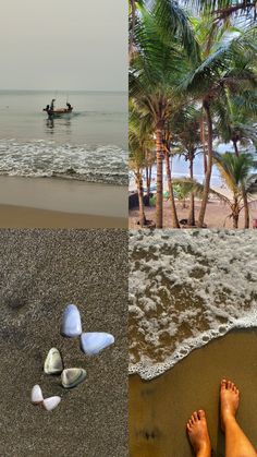 two pictures one is beach, the other has palm trees and shells on the sand