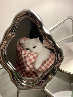 a white cat is sitting in a basket