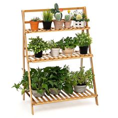 a wooden shelf filled with potted plants