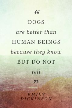 a quote with the words dogs are better than human beings because they know but do not tell