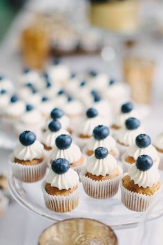 cupcakes with white frosting and blueberries are on a cake plate next to a penny