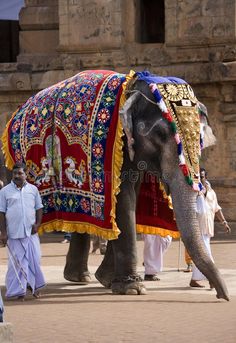 an elephant is adorned with colorful cloths and people are standing around it in front of a building