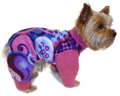 a small dog wearing a pink and purple shirt with skulls on it's chest