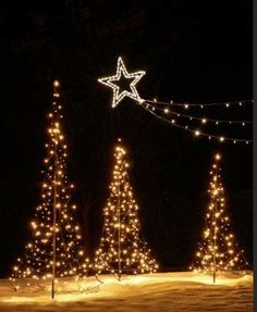 lighted christmas trees in the snow with a star on top and string lights strung across them