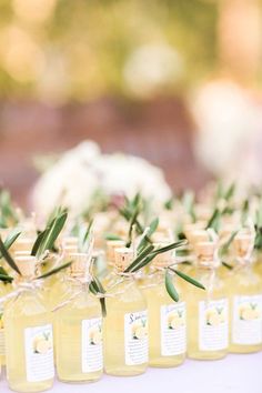 olive oil bottles are lined up on a table