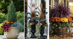 three different types of flower pots in front of a house