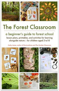 the forest classroom beginner's guide to forest school