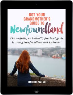 a book cover with the title not your grandmother's guide to newfrundland