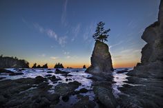 a lone tree is growing on top of a rock formation at the ocean's edge