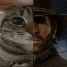 two different pictures of a man with a cat on his shoulder and an image of the same person wearing a hat