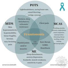 Dysautonomia Symptoms, Dysautonomia Tattoo, Yoga For Dysautonomia, Pots Dysautonomia Funny, Dysautonomia Service Dog, Histamine Intolerance Symptoms, Autonomic Nervous System Dysfunction, Scleroderma Awareness