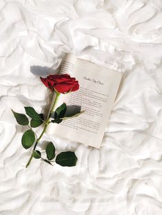 a single red rose sitting on top of an open book with white sheets in the background