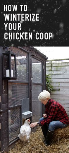 a woman is feeding a chicken in her coop with the words how to winterize your chicken coop