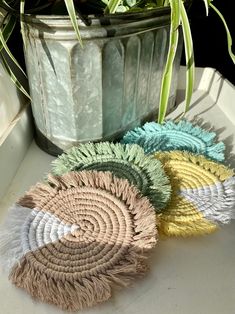 three different colored pieces of yarn next to a potted plant