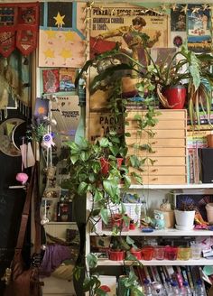 a room filled with lots of different types of plants and books on shelves next to each other