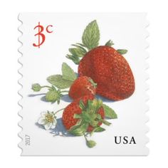 a postage stamp with two strawberries on it